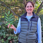 Découverte des plantes sauvages et comestibles sur le site du moulin de Trévoix, à Ollainville.