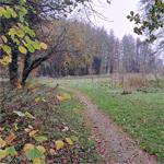 Sortie à Souzy-la-Briche.