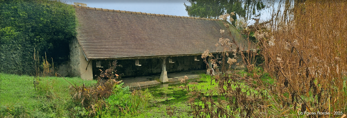 Photo du lavoir de Souzy-la-Briche.