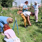 Photo représentant l'atelier macérat huileux à l'association Aux Coeurs des Possibles.