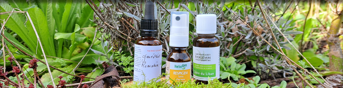 Photo représentant des huiles essentielles dans un cadre de plantes.