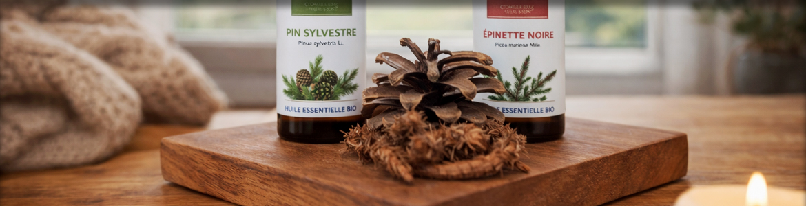 Photo représentant des huiles essentielles sur une table en bois avec une pomme de pin et une bougie.
