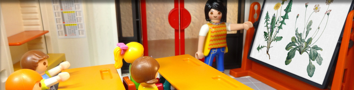 La photo représente une salle de classe avec en Playmobil avec une maitresse qui montre au tableau un herbier.