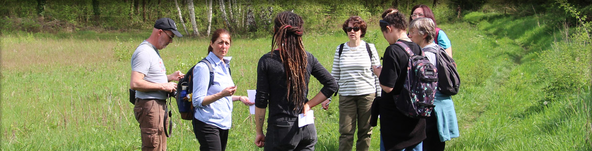 Photo représentant un groupe dans une prairie.